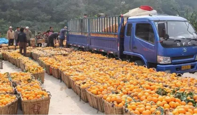 1685600780760915.jpg 微信截图_2023060114001.jpg